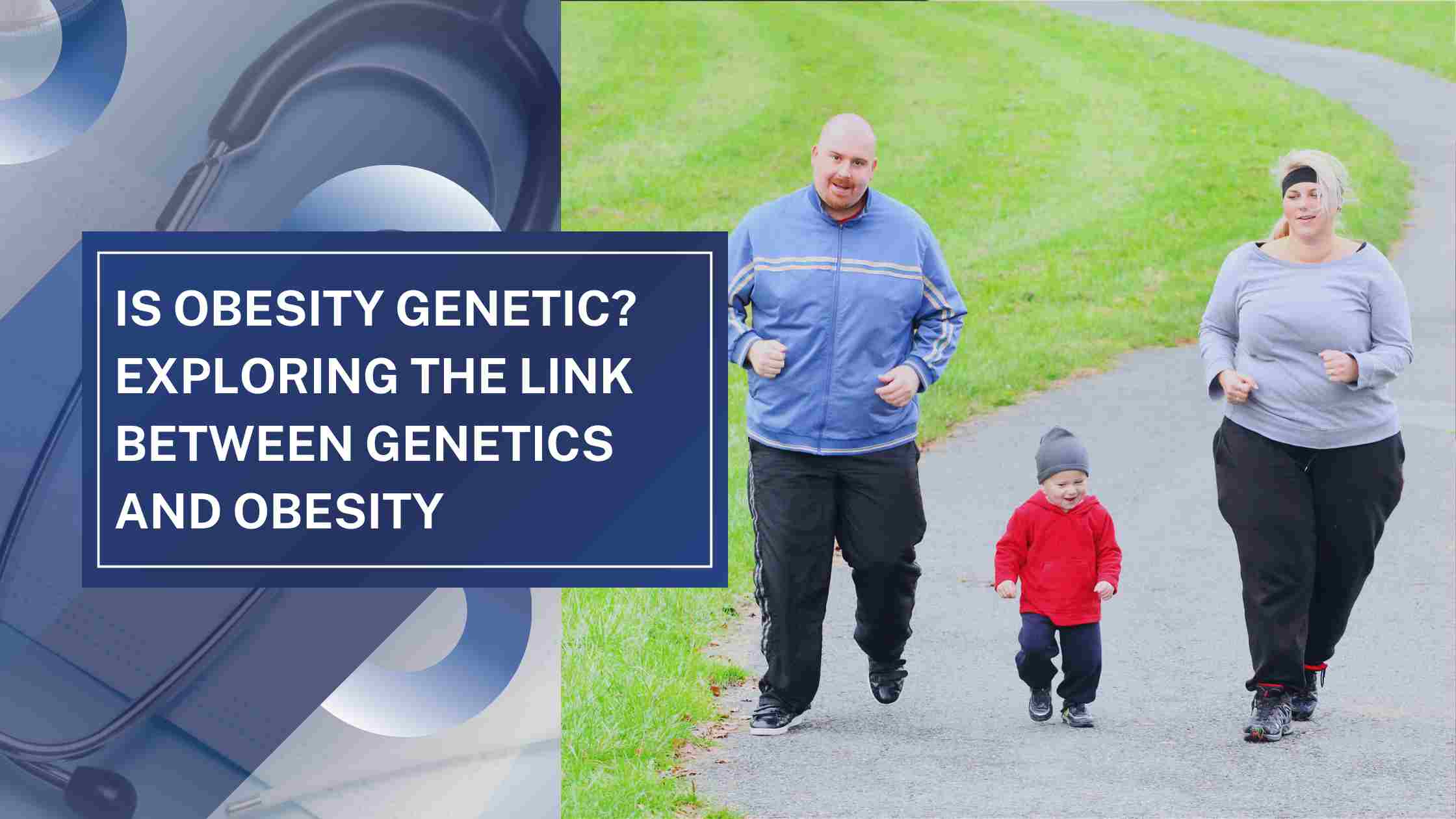 is obesity genetic